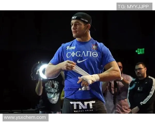 UFC对决蜘蛛人大战狼人谁将成为终极格斗之王