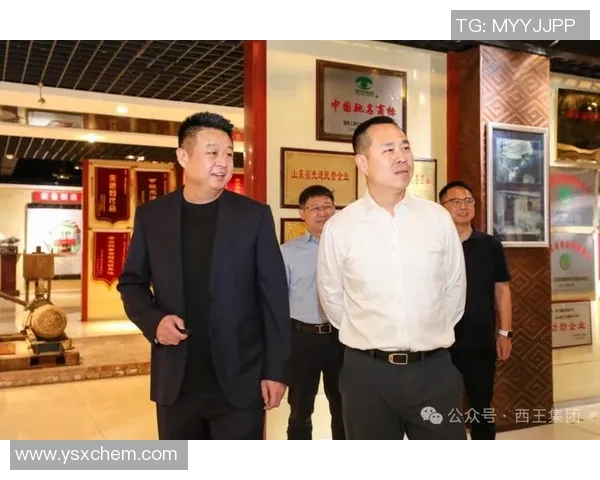 山东西王与西王集团的战略合作与发展前景分析