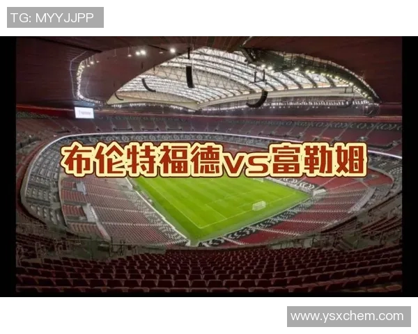 维岗与布伦特2019年对决分析及其对市场的影响探讨