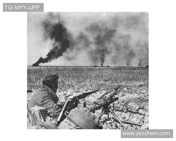 苏维埃与莫陆军的对决历史回顾与战术分析