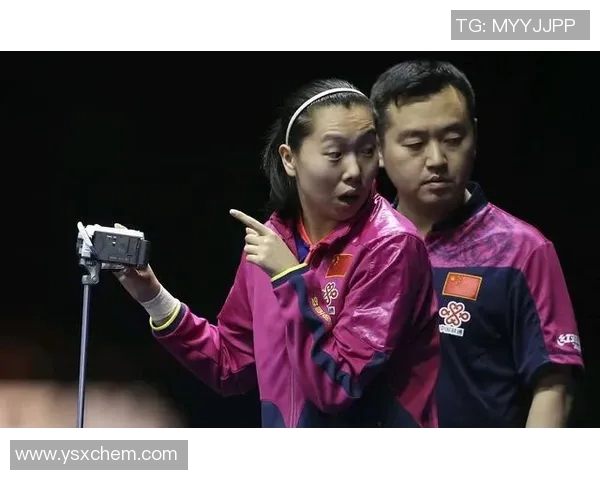 深入探讨上海乒乓球队各队员实力差异及未来发展潜力分析