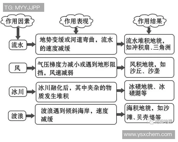 重磅专题：探索WE的节奏革新与未来发展趋势分析